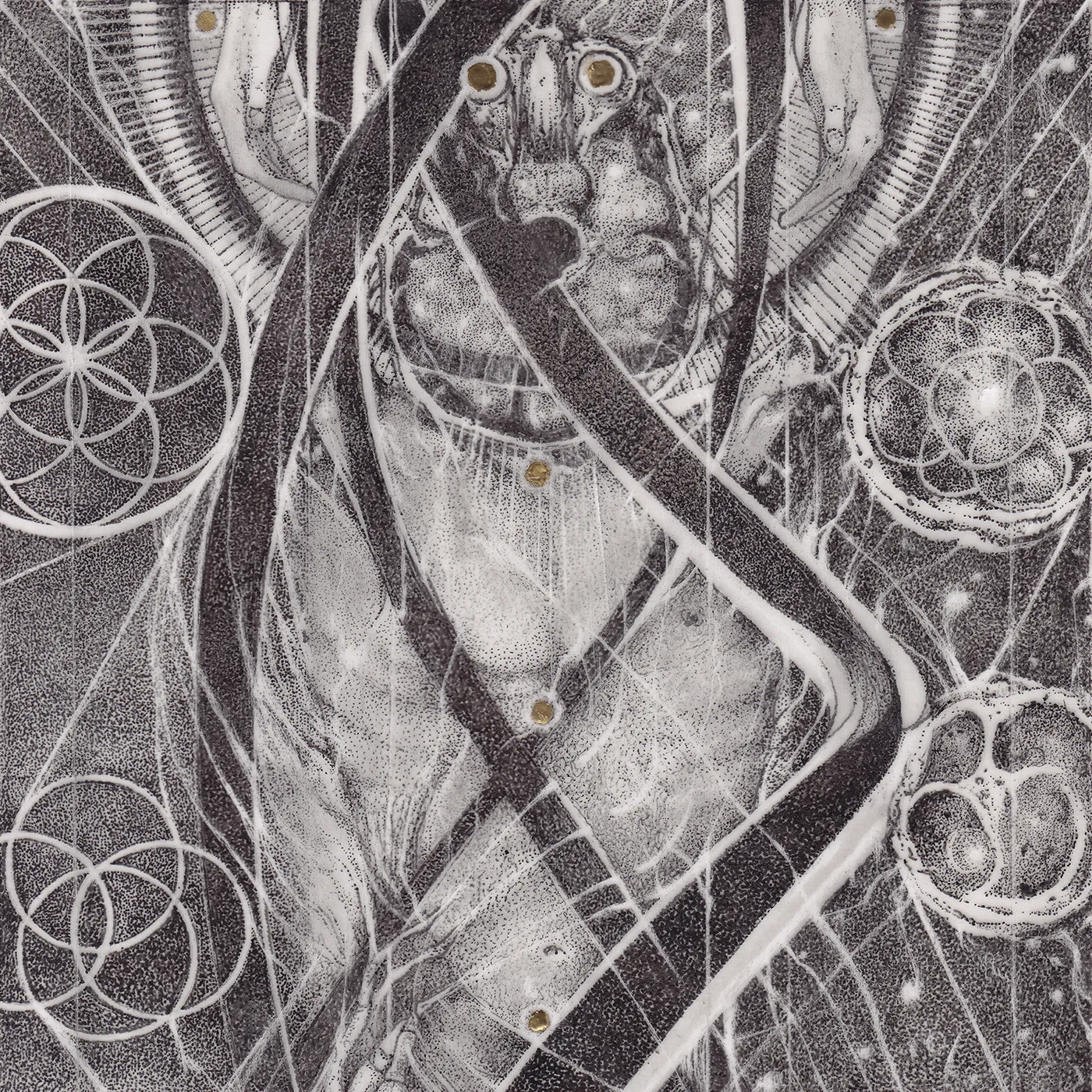 Cynic UROBORIC FORMS: COMPLETE Vinyl Record