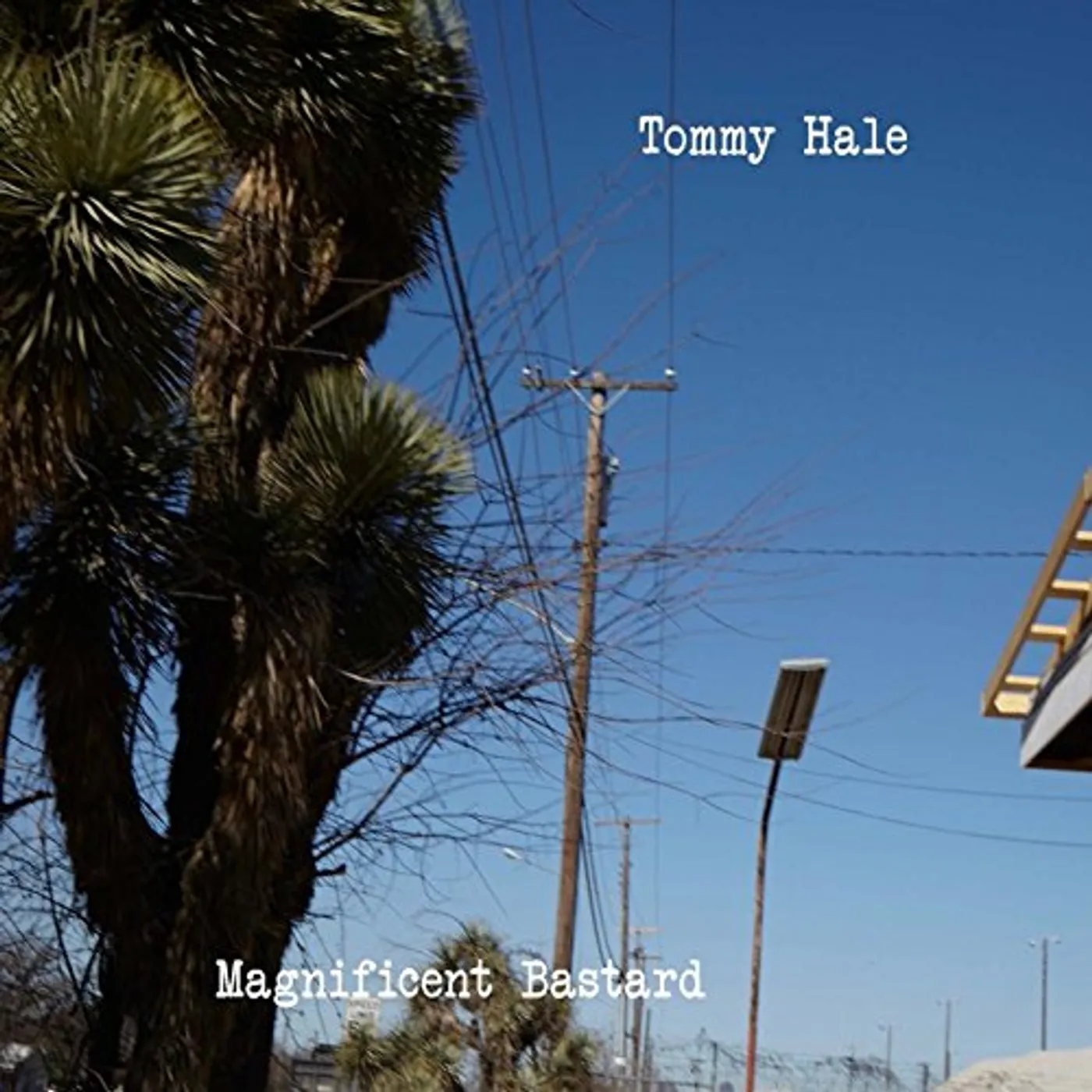 Tommy Hale MAGNIFICENT BASTARD CD