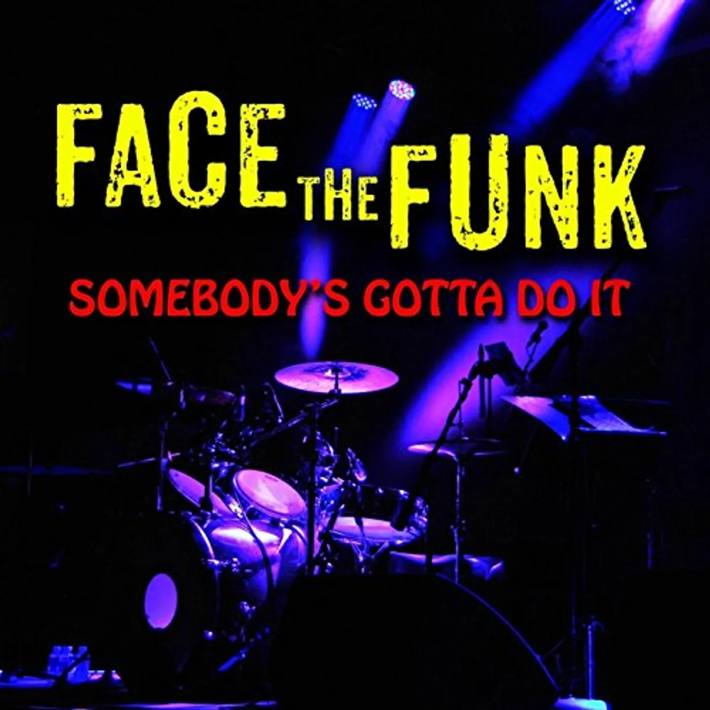Face the Funk SOMEBODY'S GOTTA DO IT CD
