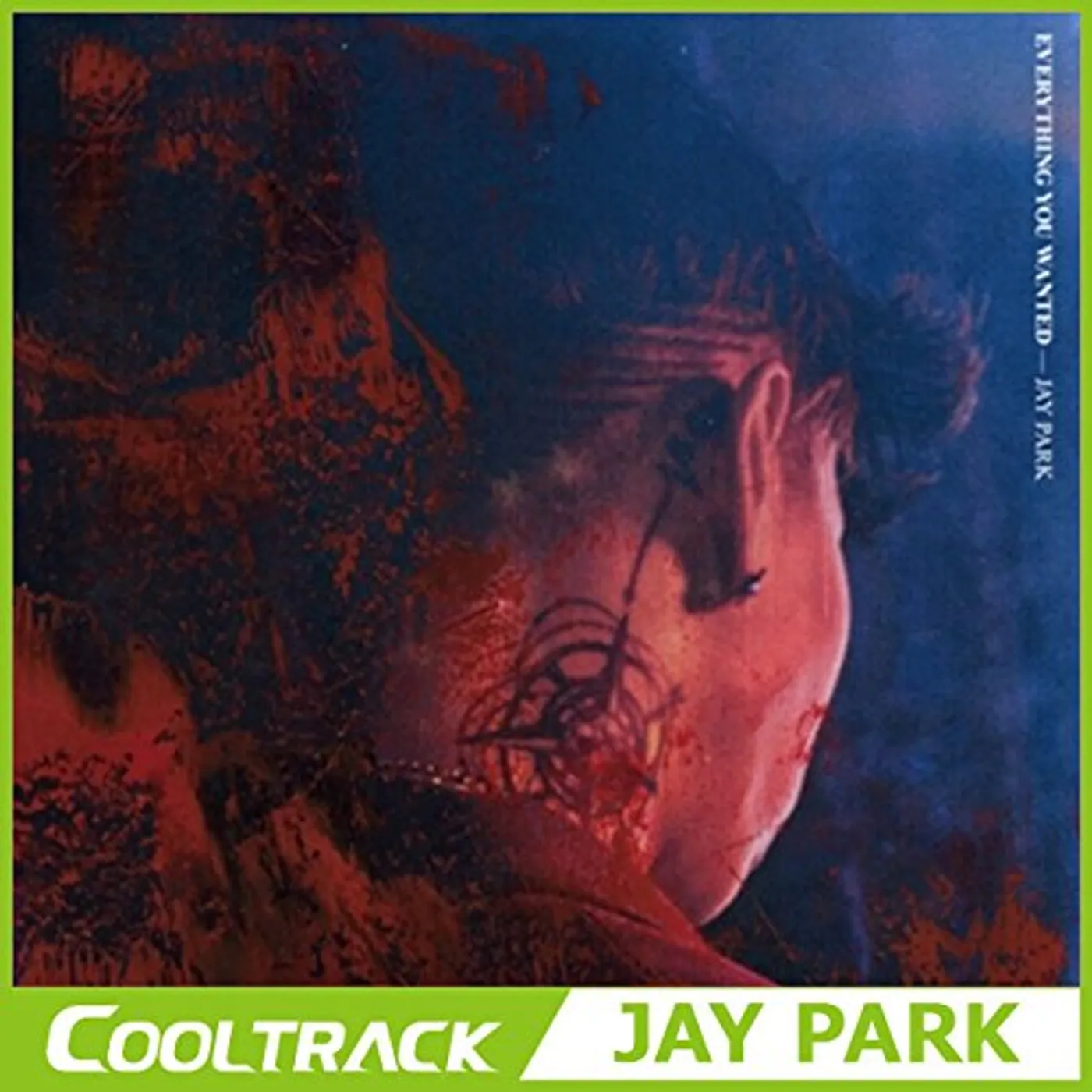 Jay Park EVERYTHING YOU WANTED CD