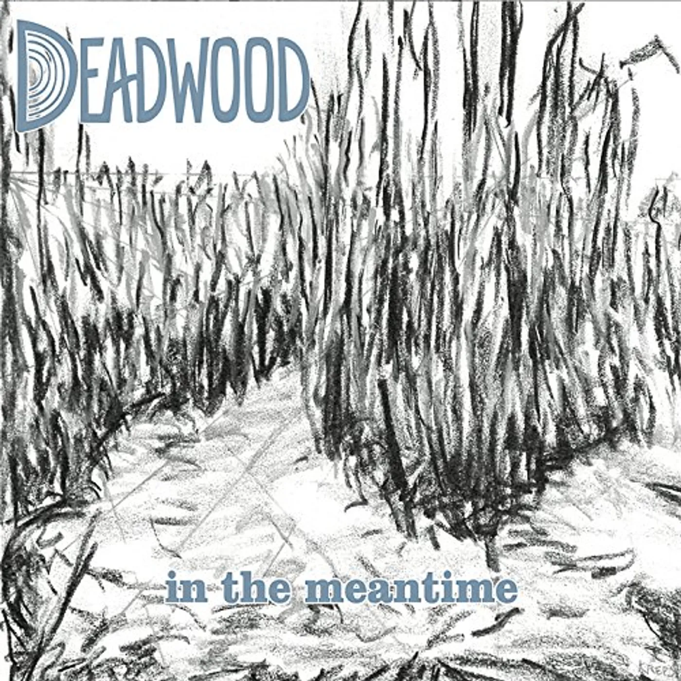Deadwood IN THE MEANTIME CD