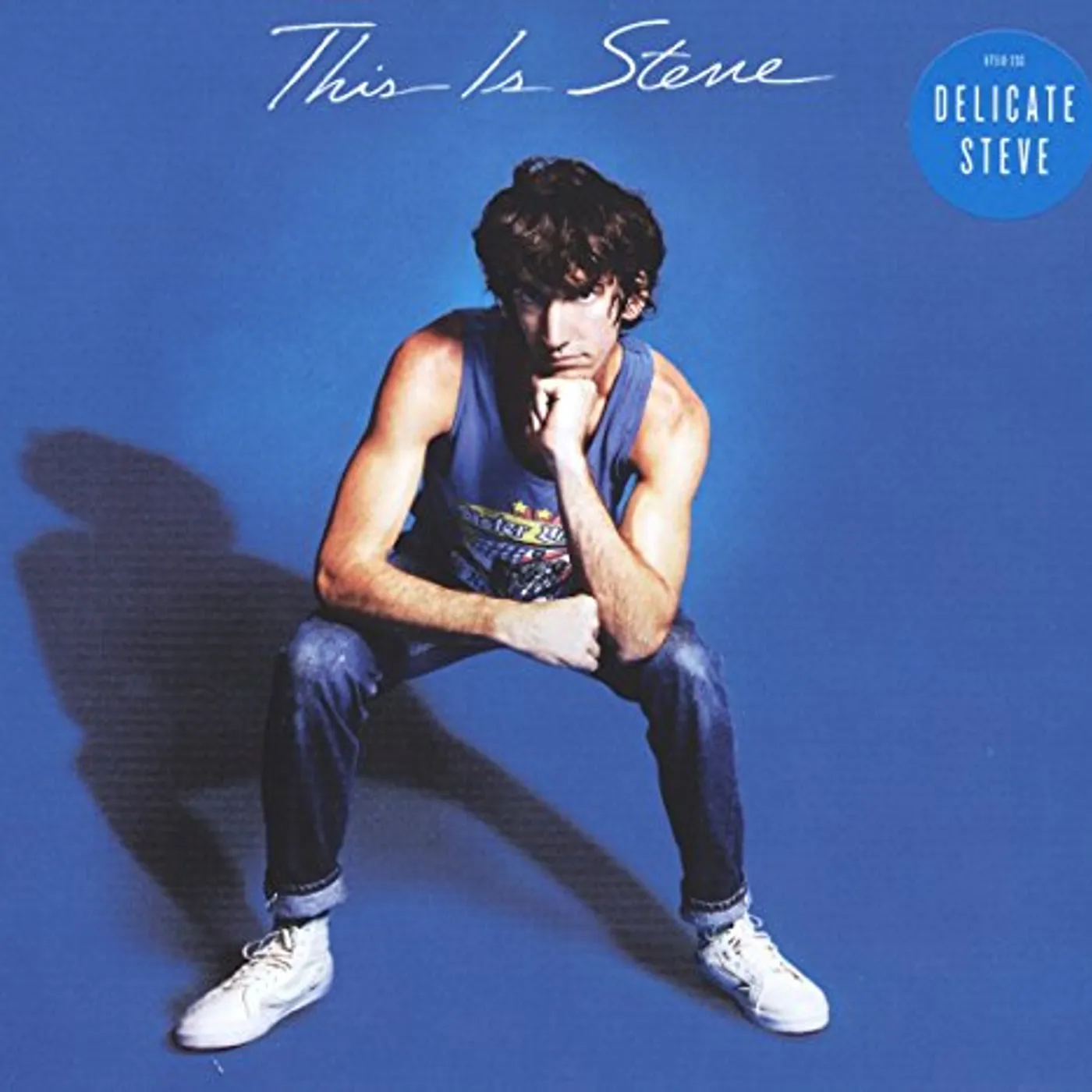 Delicate Steve This Is Steve Vinyl Record