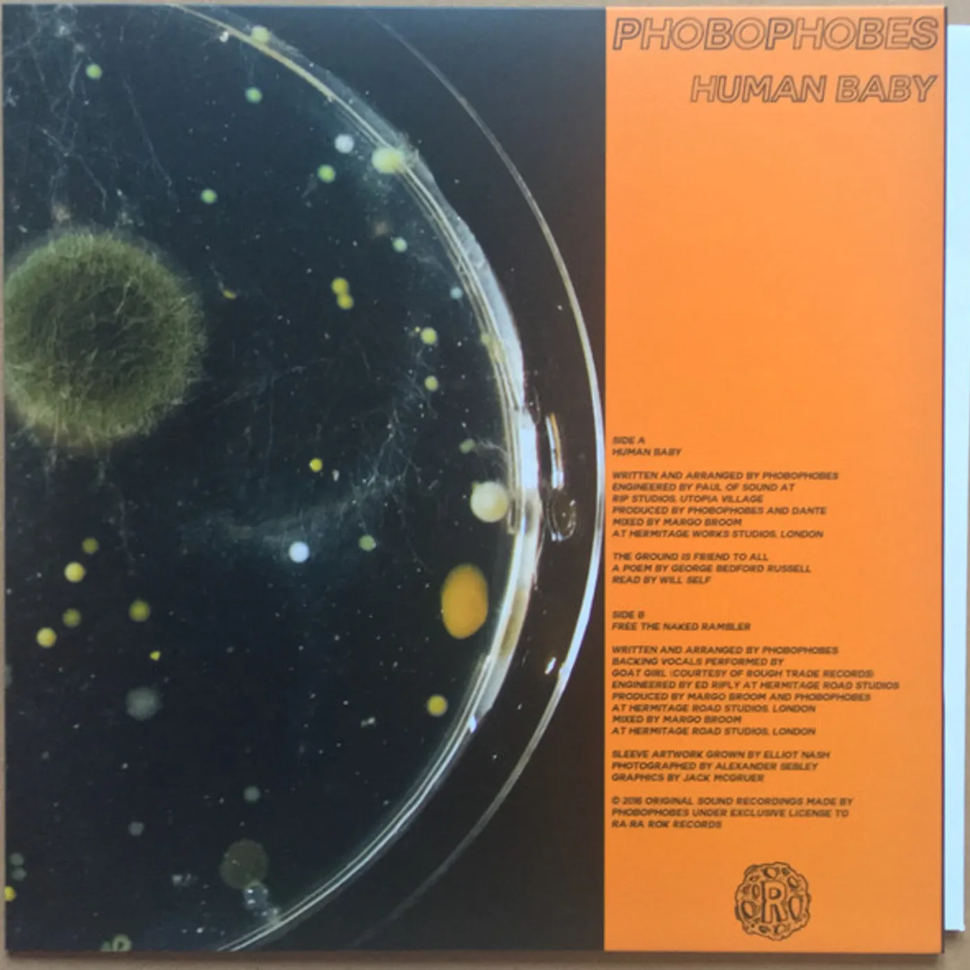 Phobophobes HUMAN BABY Vinyl Record