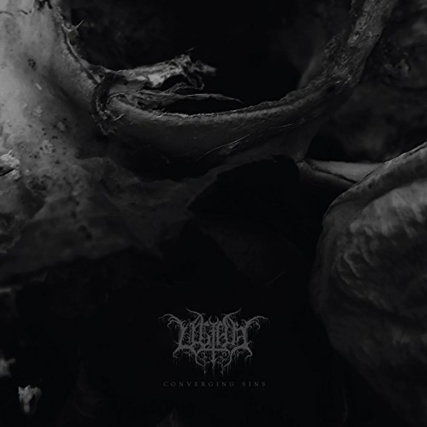 Ultha Converging Sins Vinyl Record