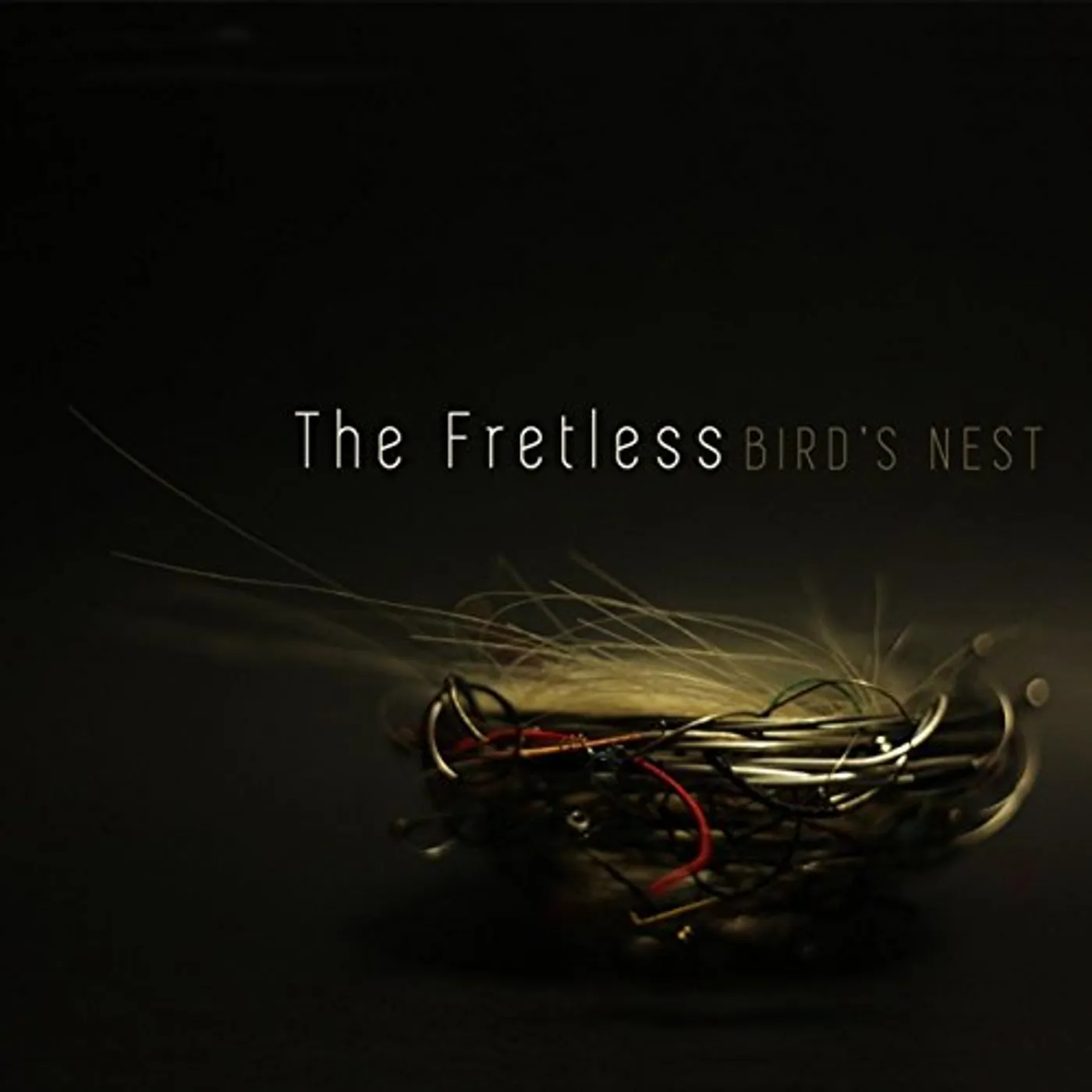The Fretless BIRD'S NEST CD