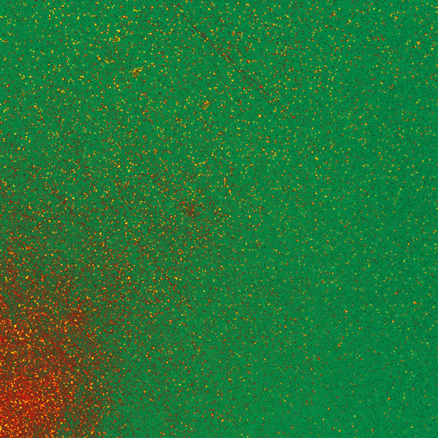 Melange Vinyl Record