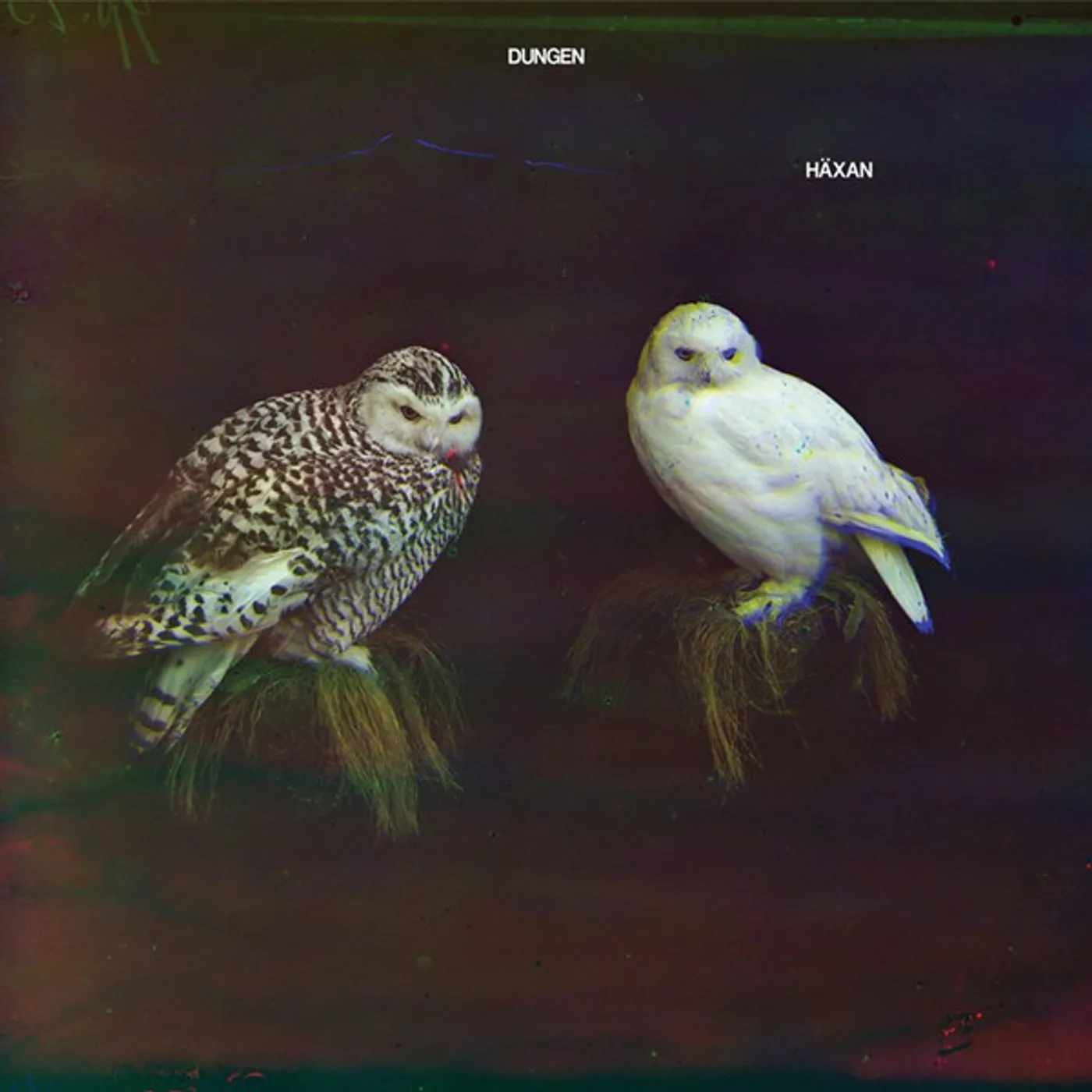 Dungen HAXAN Vinyl Record - Clear Vinyl, UK Release