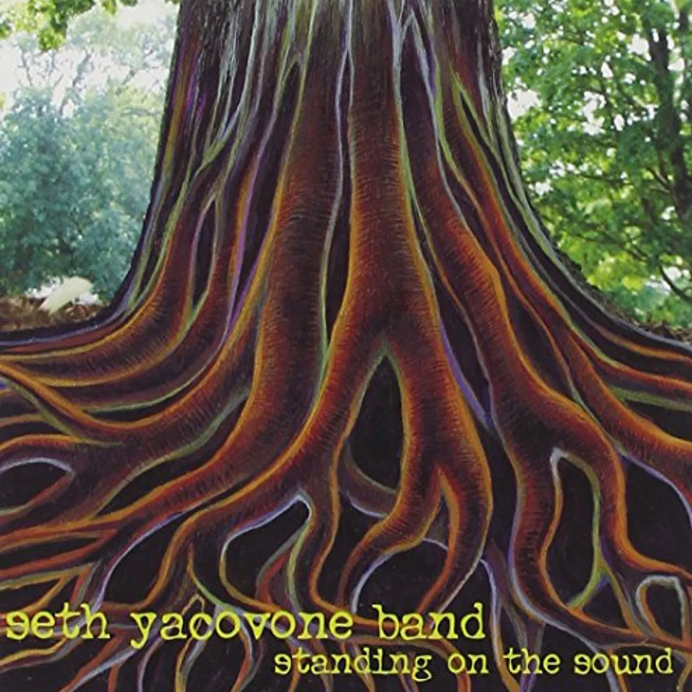 Seth Yacovone Band STANDING ON THE SOUND CD