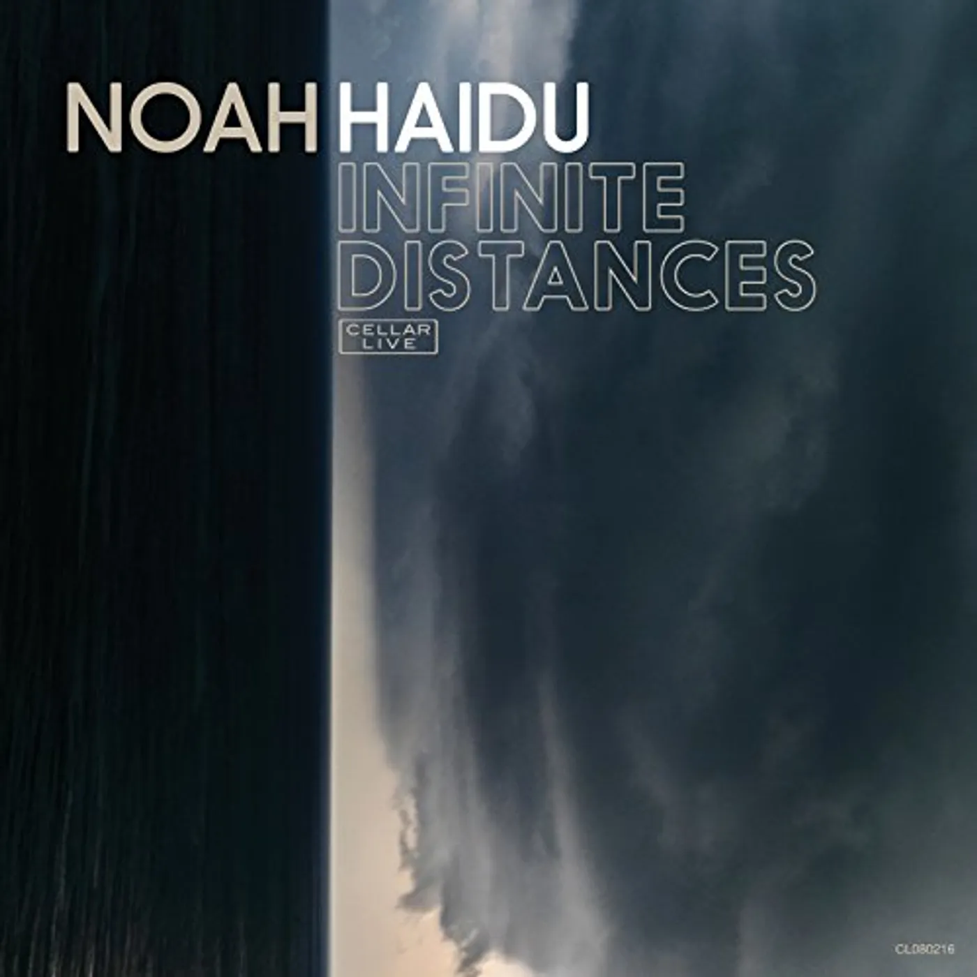 Noah Haidu INFINITE DISTANCES CD