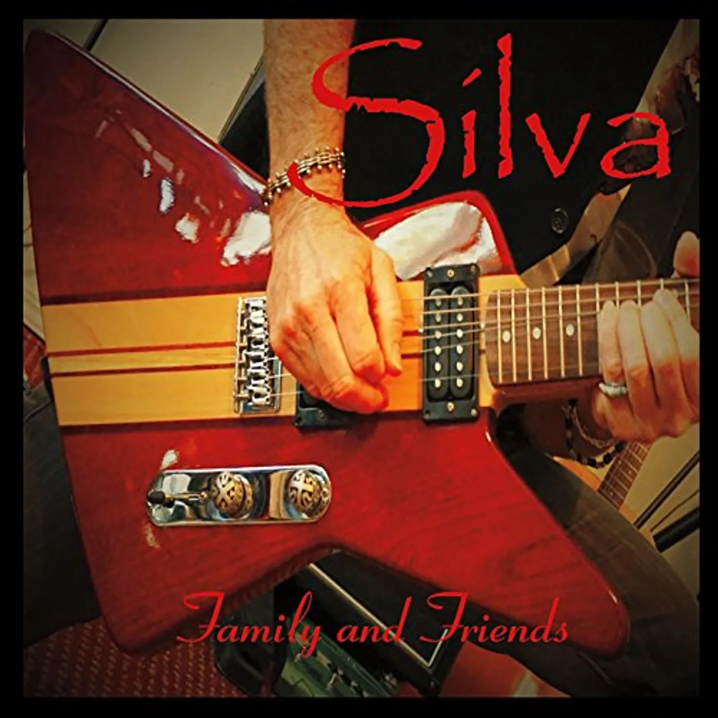 Silva FAMILY & FRIENDS CD
