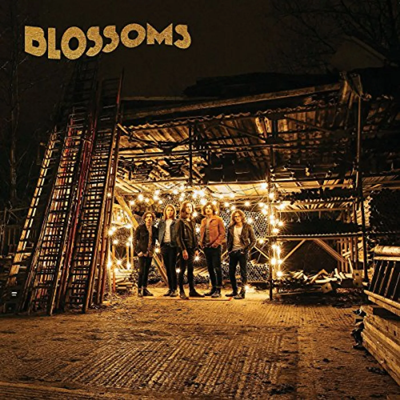Blossoms Vinyl Record