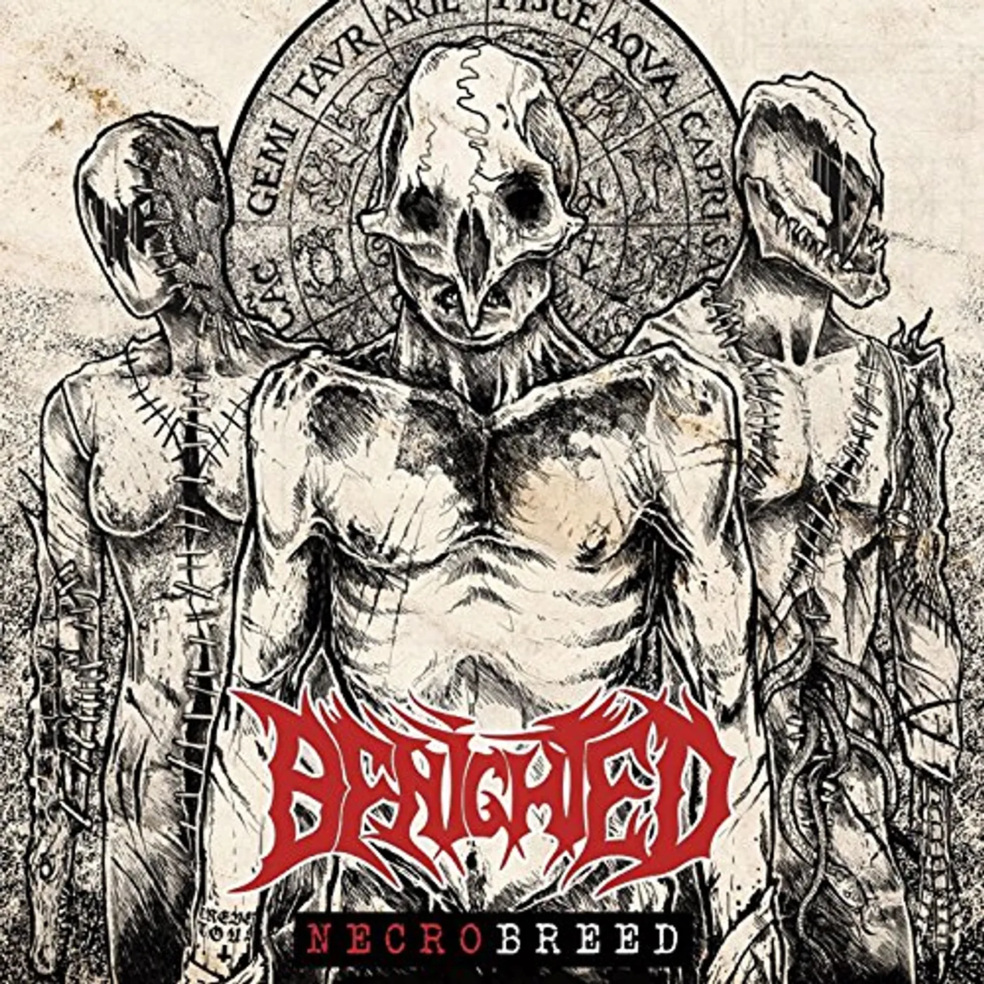 Benighted Necrobreed Vinyl Record
