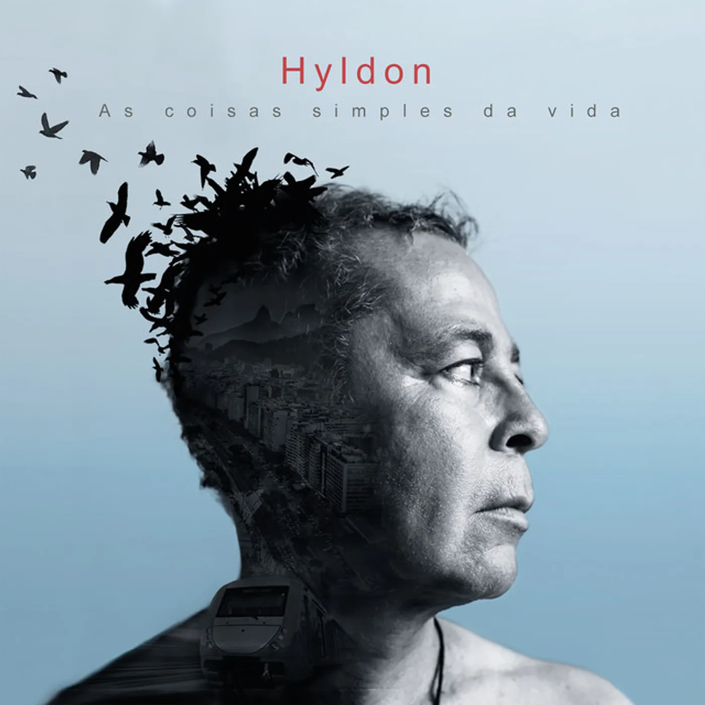 Hyldon As Coisas Simples da Vida Vinyl Record