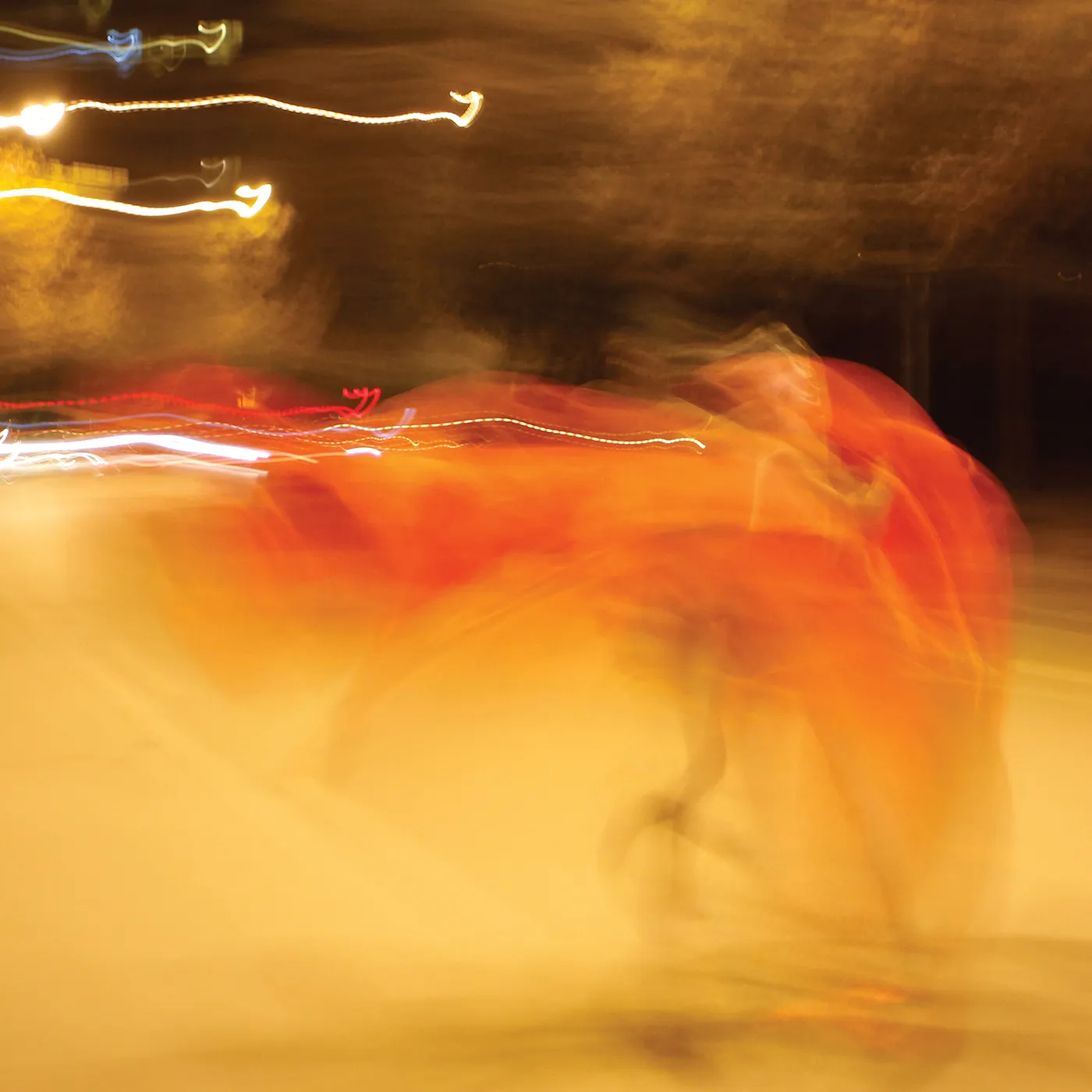 William Basinski SHADOW IN TIME CD