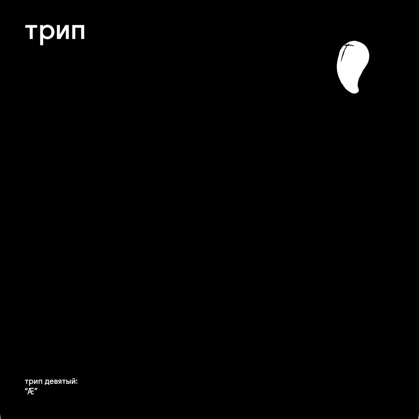 Bjarki AE Vinyl Record