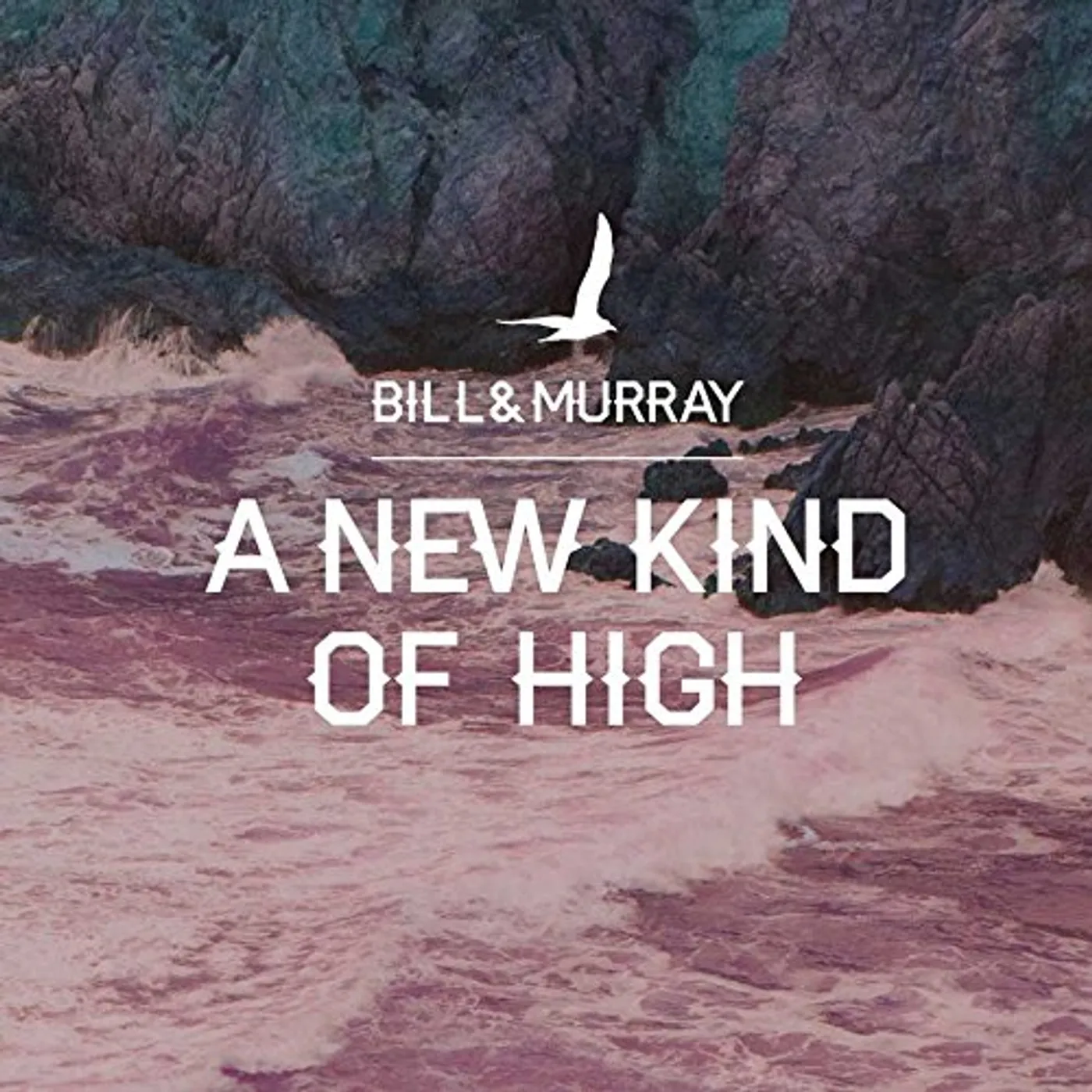 Bill And Murray NEW KIND OF HIGH Vinyl Record