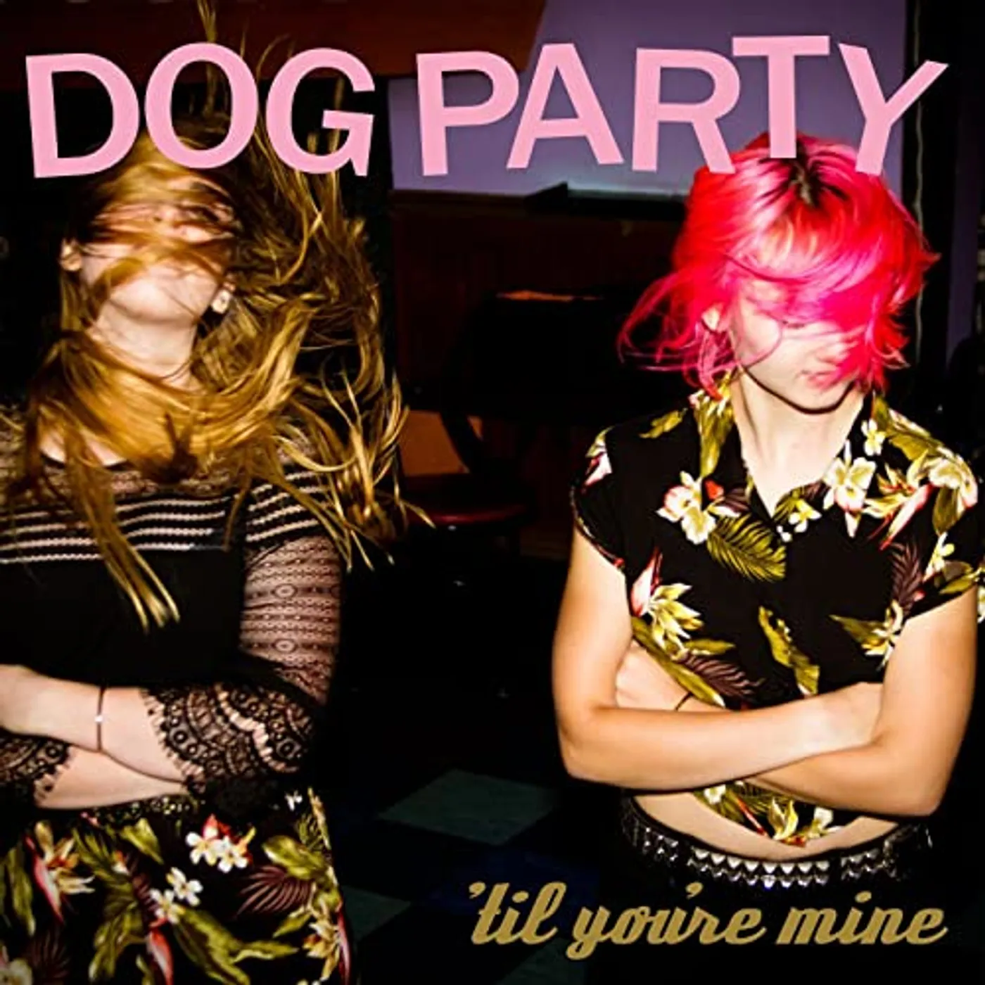 Dog Party TIL YOU'RE MINE Vinyl Record