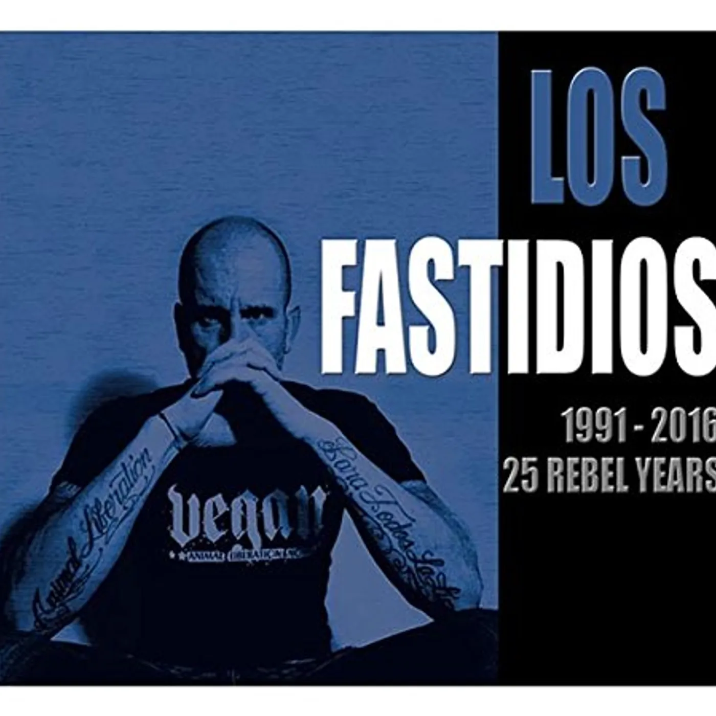 Los Fastidios 1991-2016: 25 REBEL YEARS CD