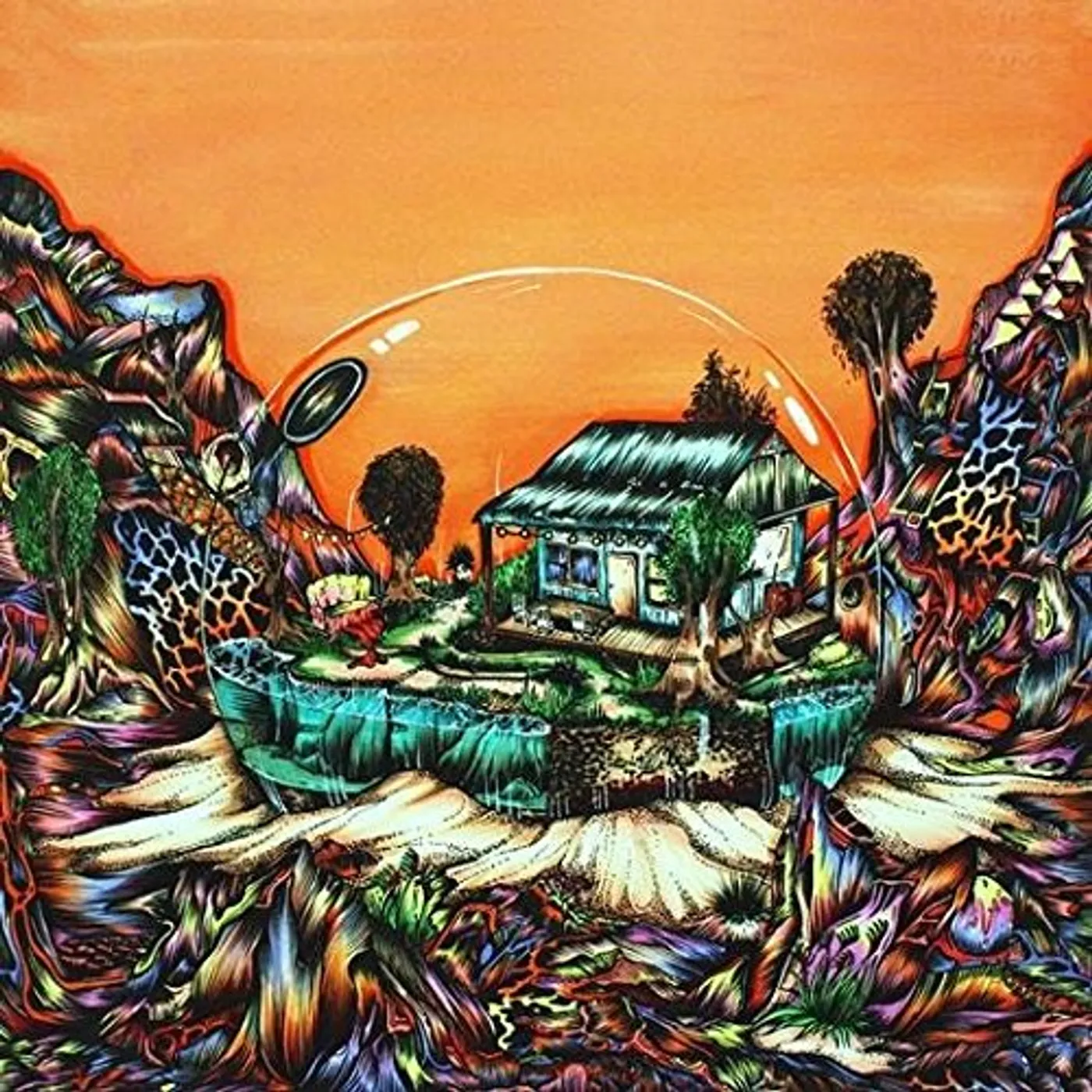 Koi Child Vinyl Record