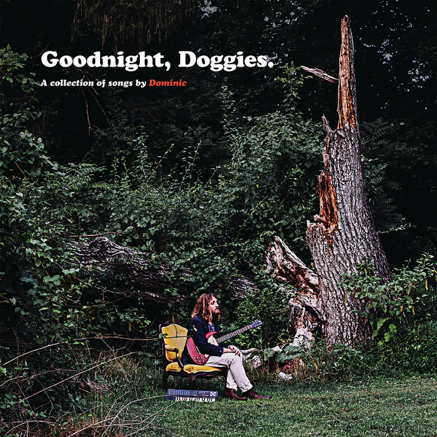Dominic Angelella GOODNIGHT DOGGIES CD