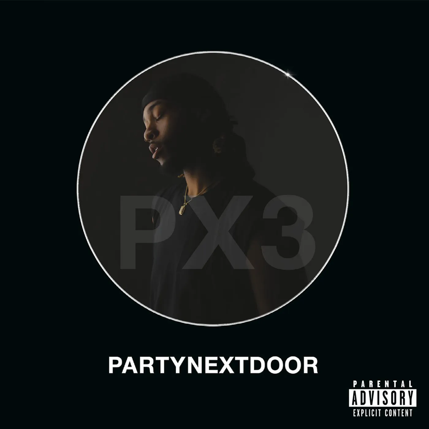 PARTYNEXTDOOR 3 Vinyl Record