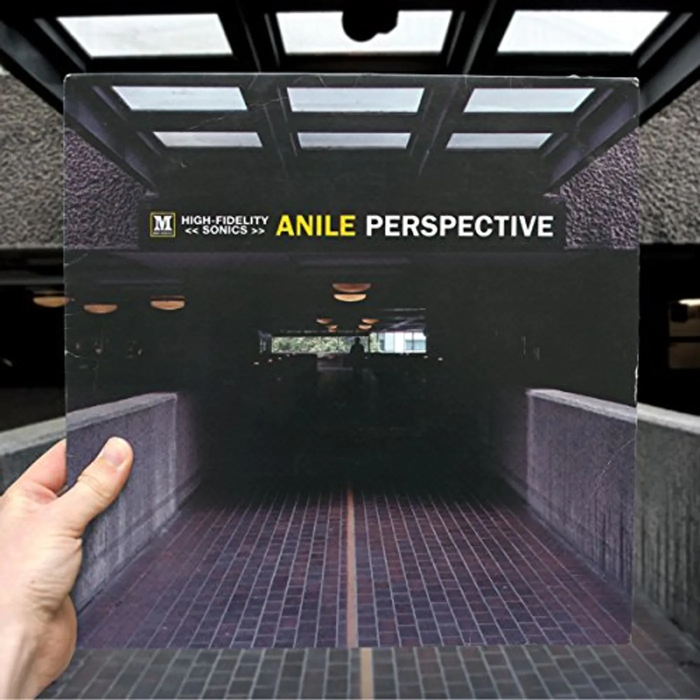 Anile Perspective Vinyl Record