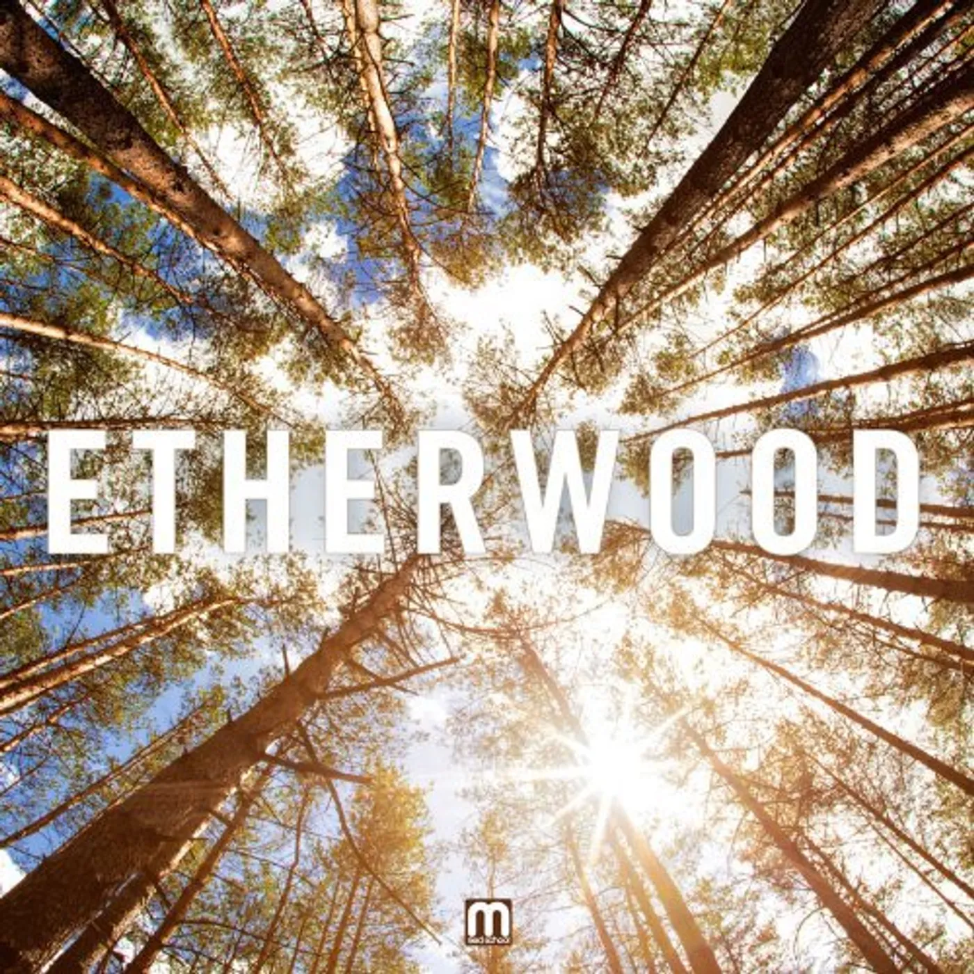 ETHERWOOD CD