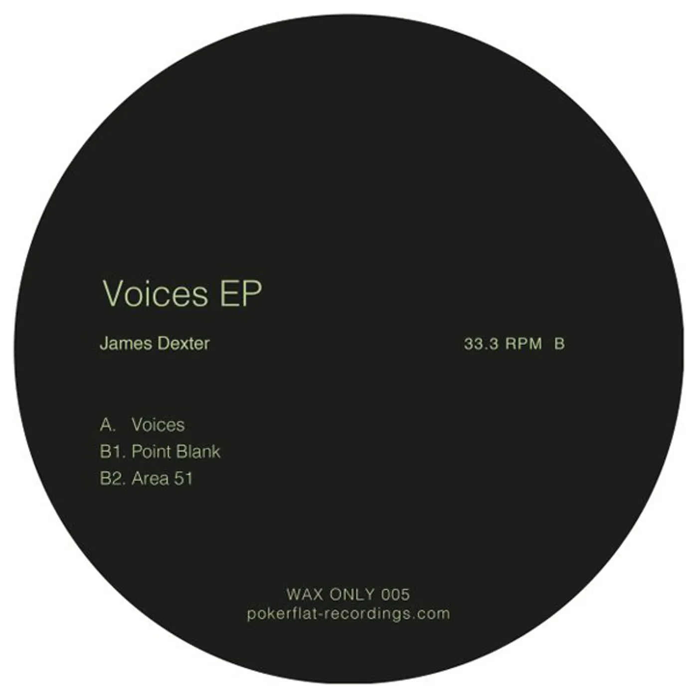 James Dexter VOICES Vinyl Record