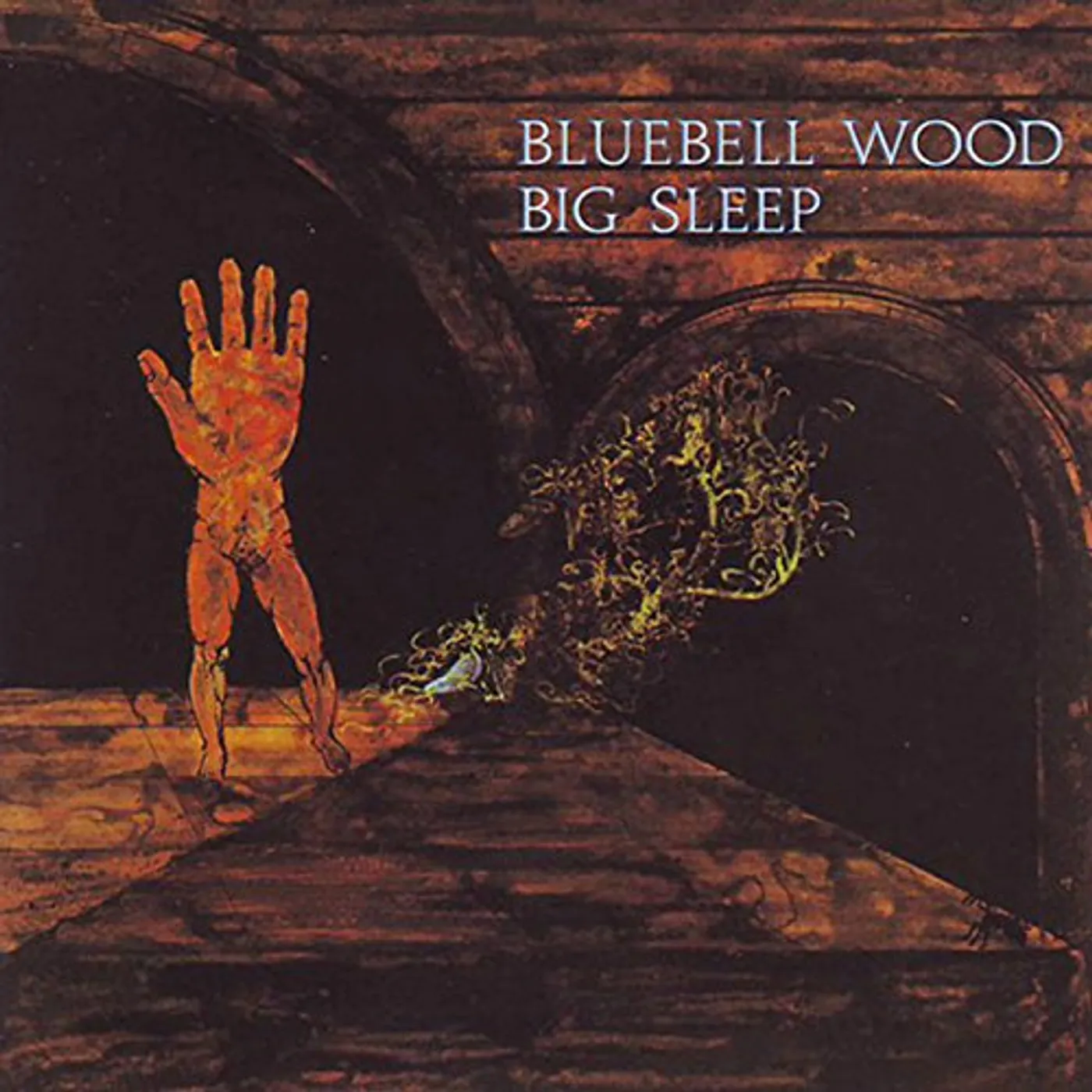 The Big Sleep BLUEBELL WOOD CD