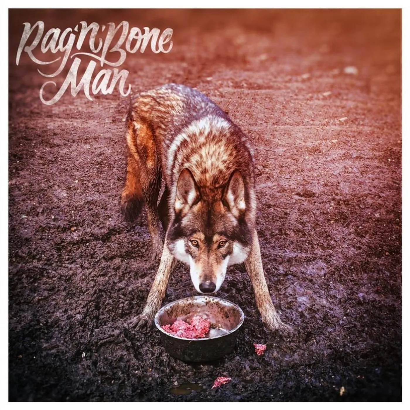 Rag'n'Bone Man Wolves Vinyl Record
