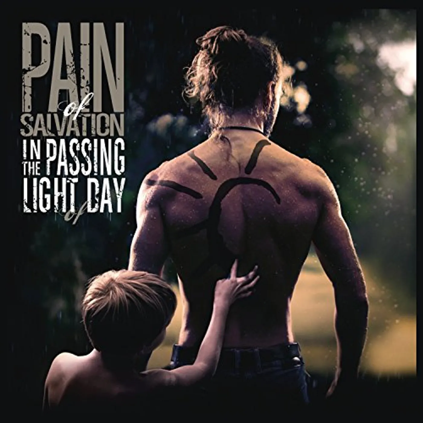 Pain of Salvation In The Passing Light Of Day Vinyl Record