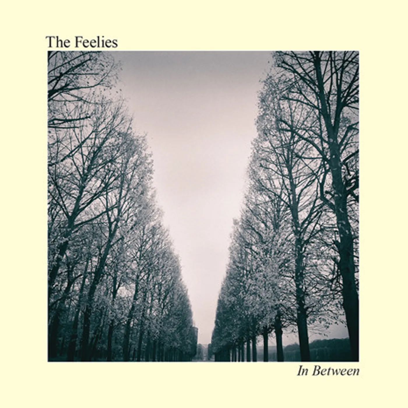 The Feelies In Between Vinyl Record