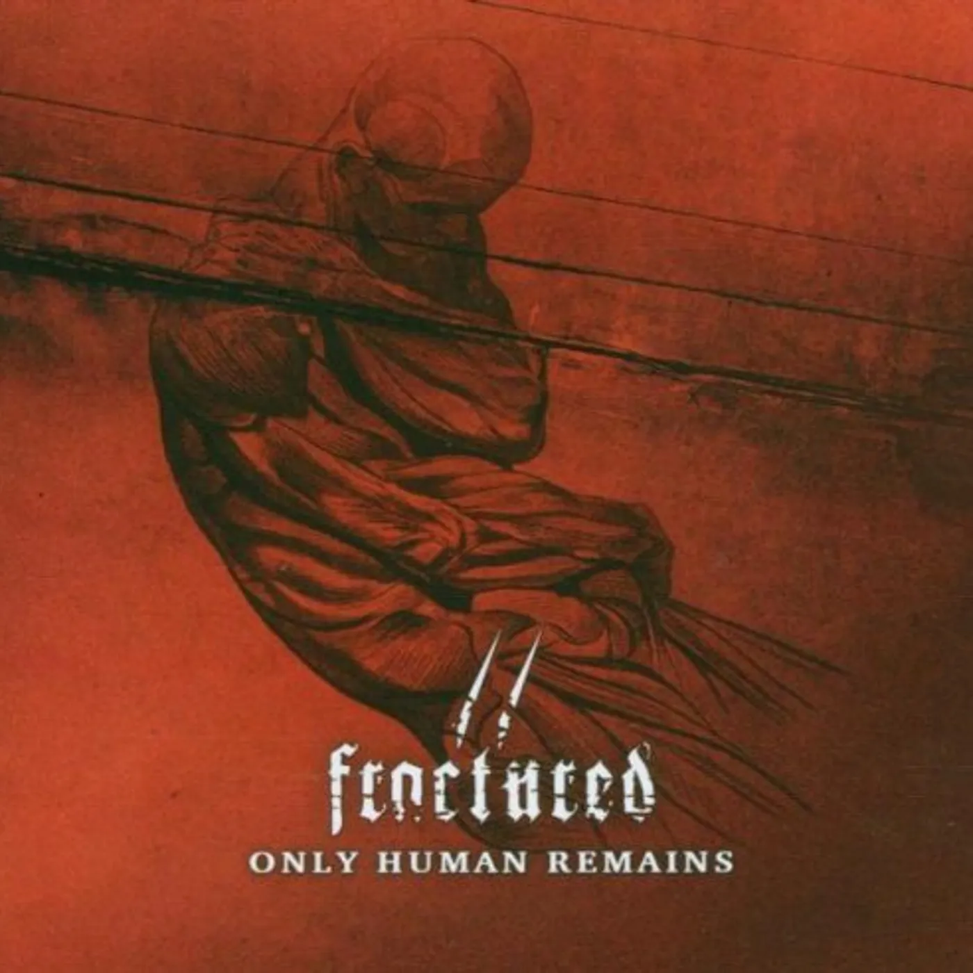 Fractured ONLY HUMAN REMAINS CD