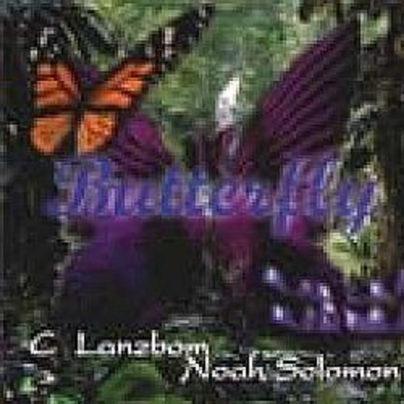 C Lanzbom & Noah Solomon BUTTERFLY CD