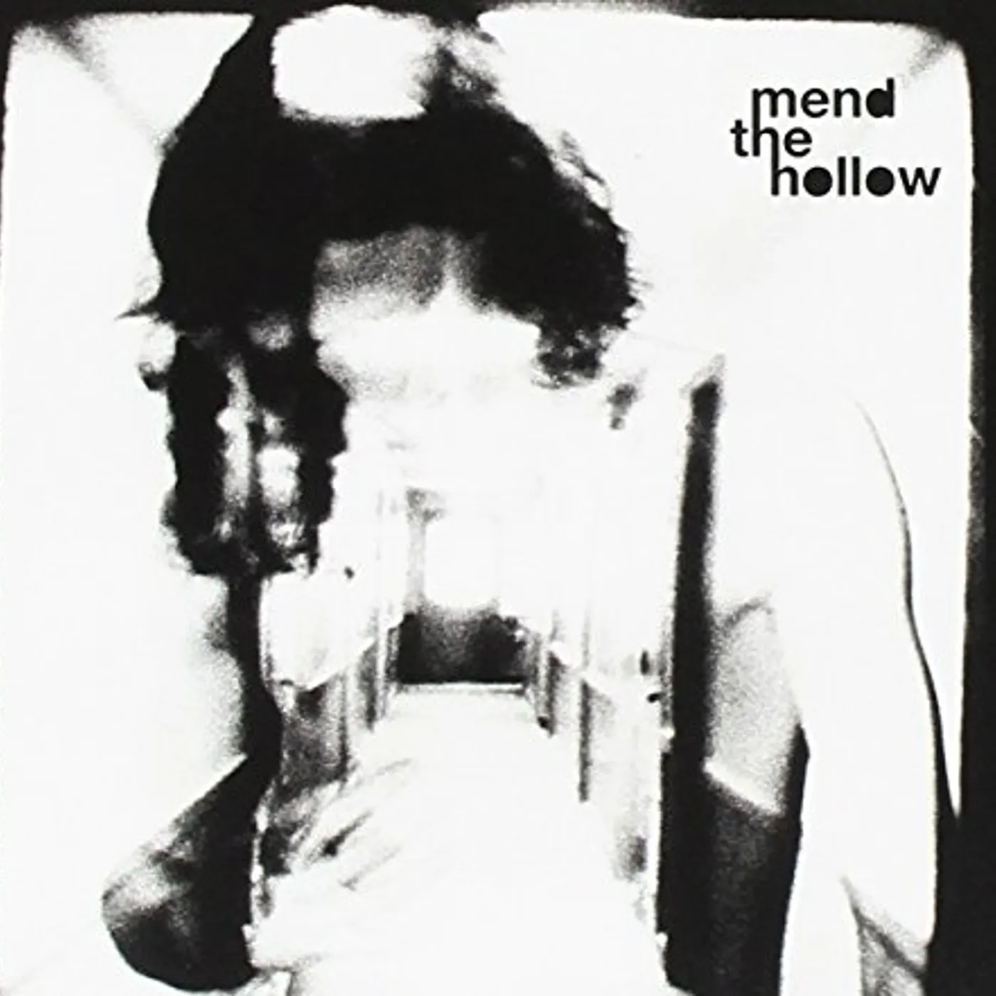 MEND THE HOLLOW CD