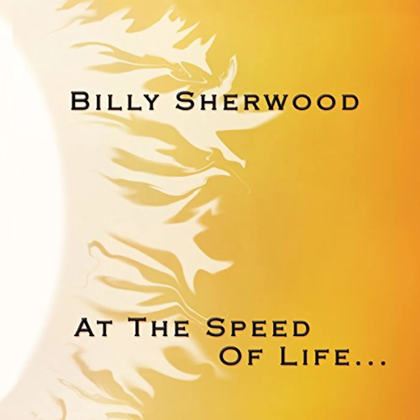 Billy Sherwood AT THE SPEED OF LIFE CD