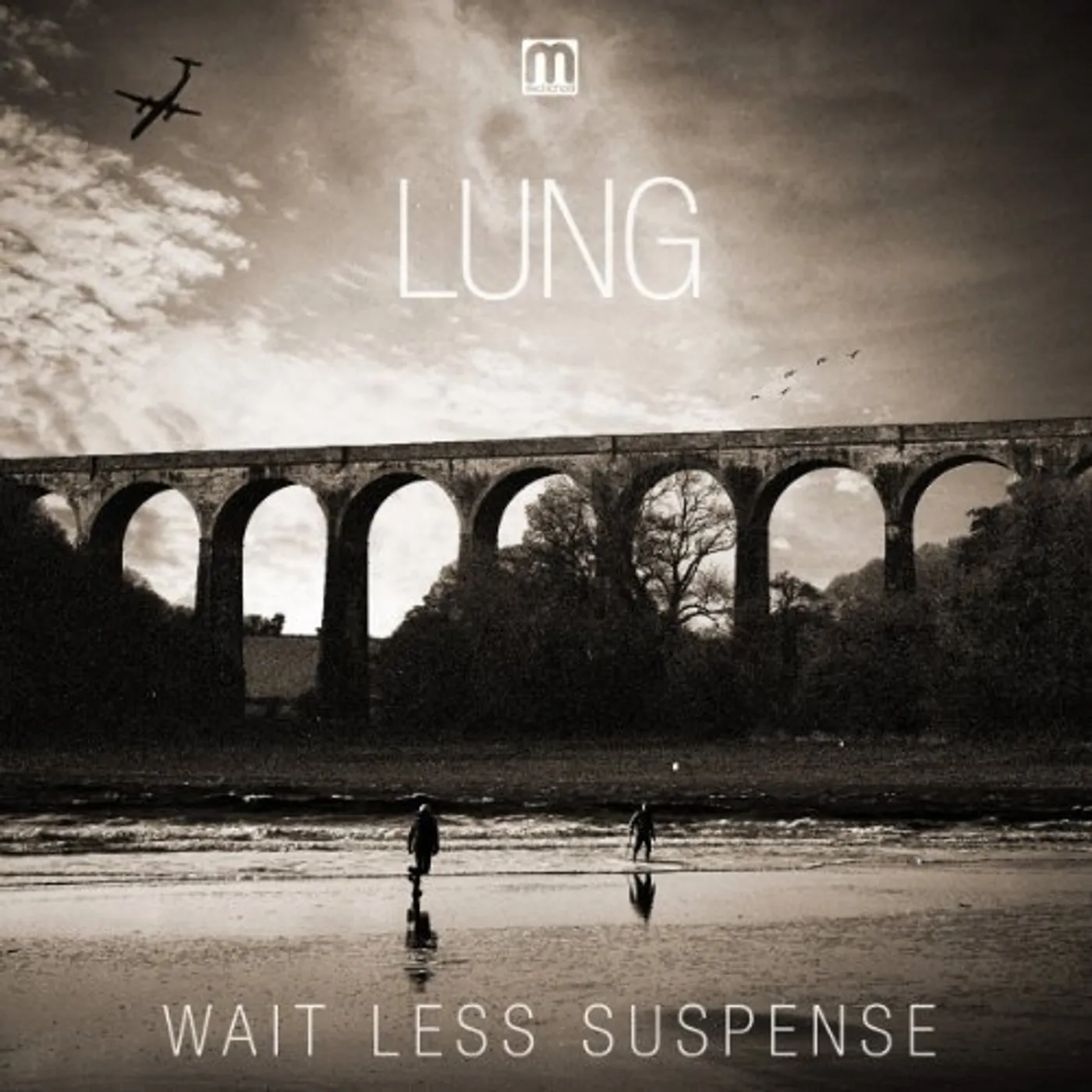 LUNG Wait Less Suspense Vinyl Record