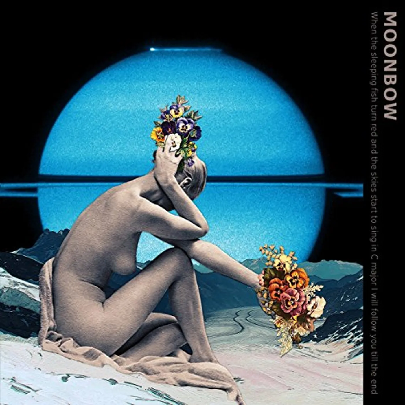 Moonbow Vinyl Record