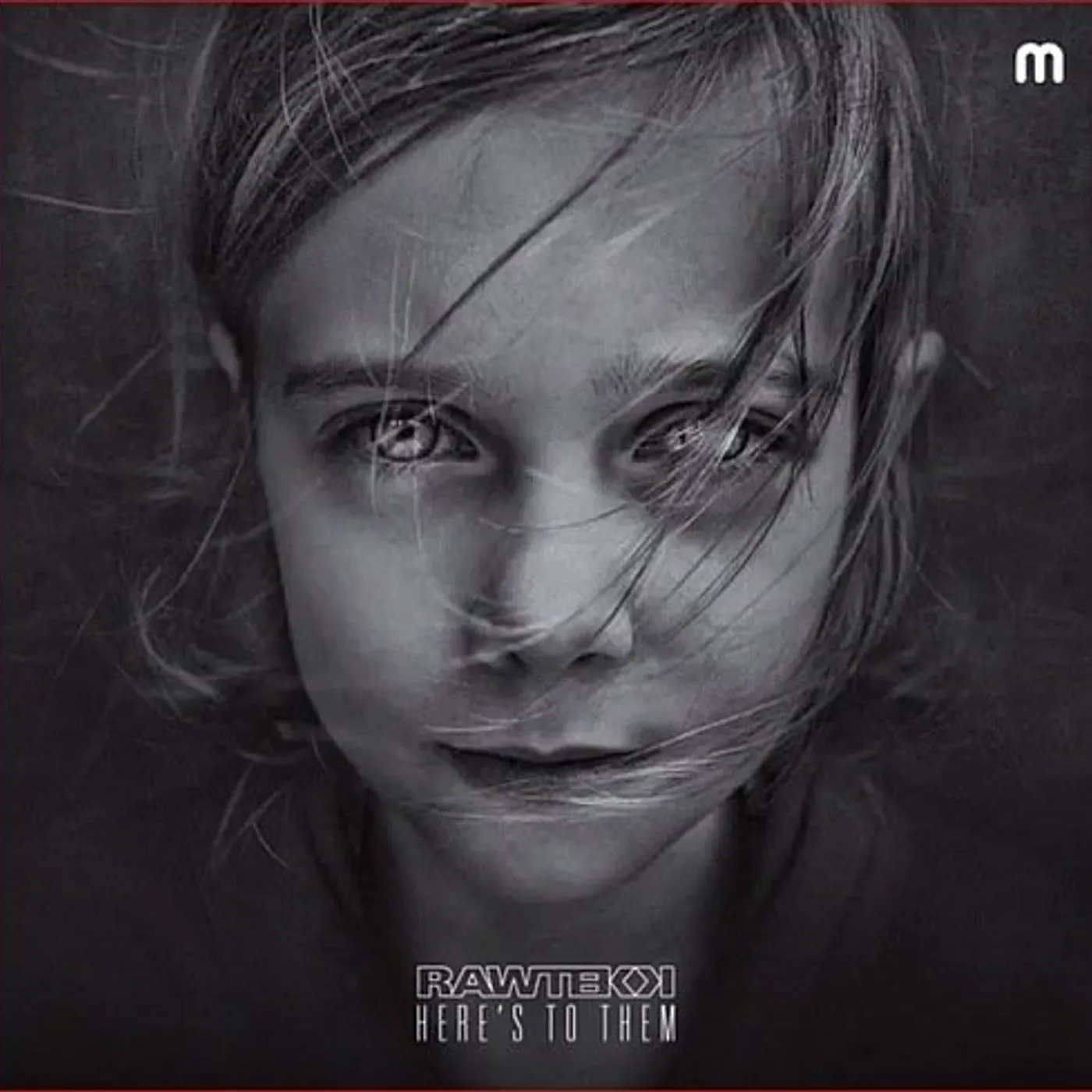 Rawtekk HERE'S TO THEM CD