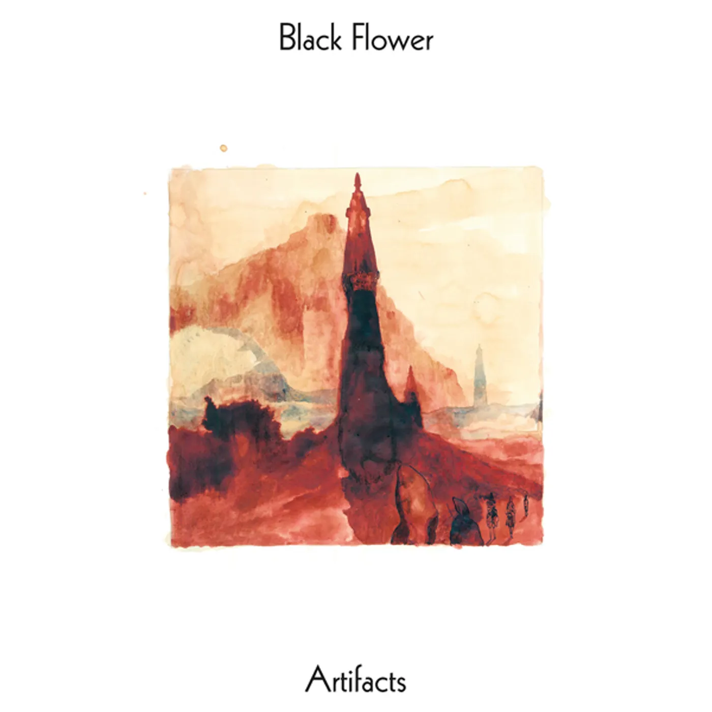 Black Flower Artifacts Vinyl Record