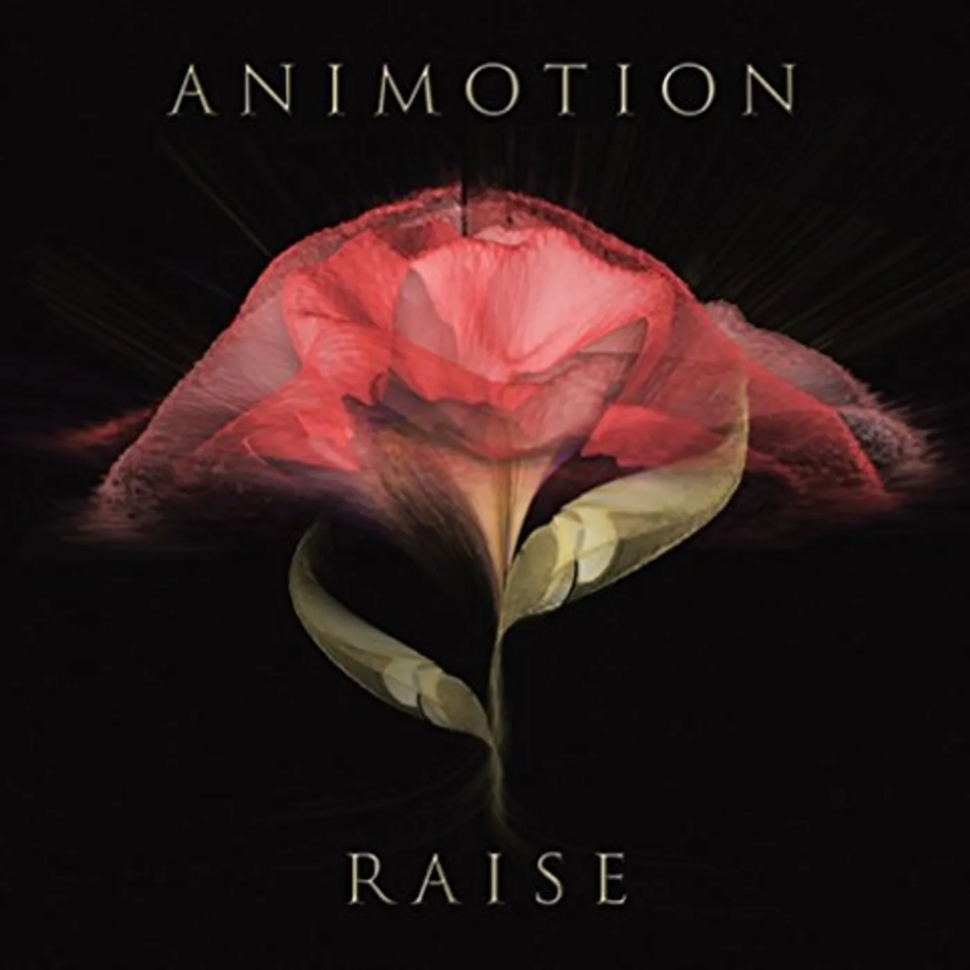 Animotion Raise Your Expectations Vinyl Record