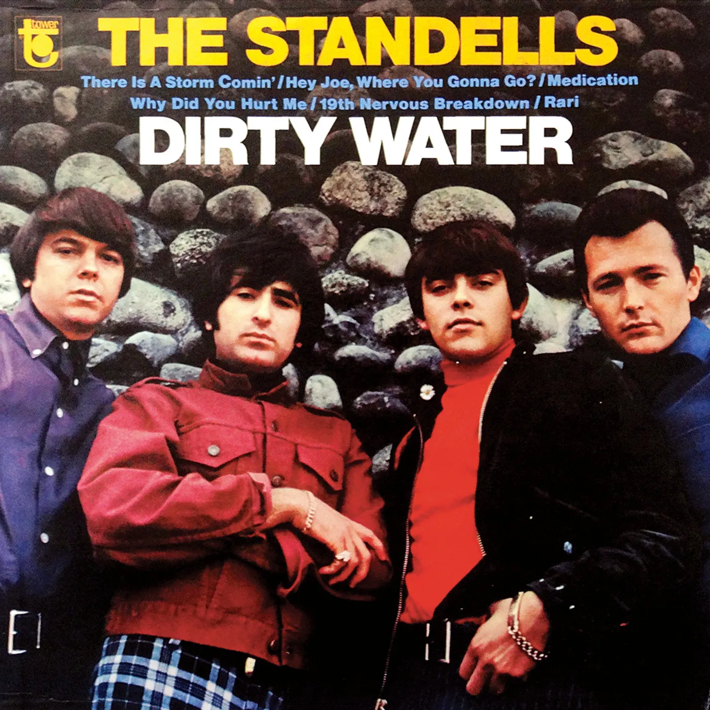 The Standells Dirty Water Vinyl Record