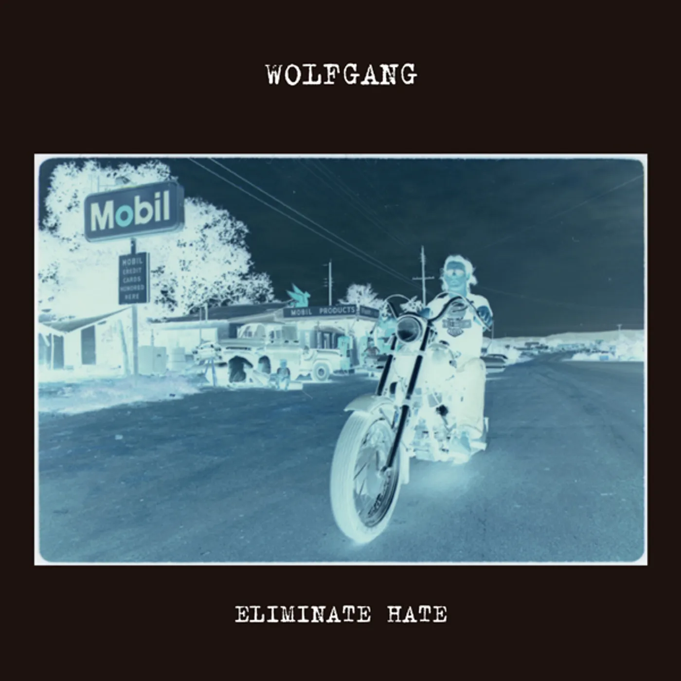 Wolfgang ELIMINATE HATE Vinyl Record