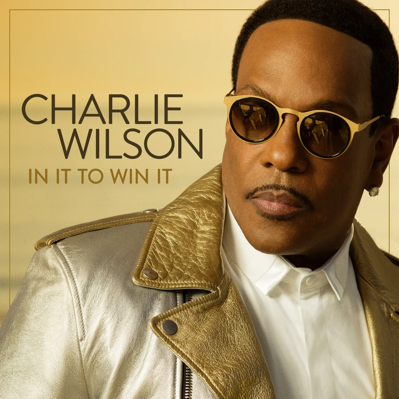 Charlie Wilson IN IT TO WIN IT CD
