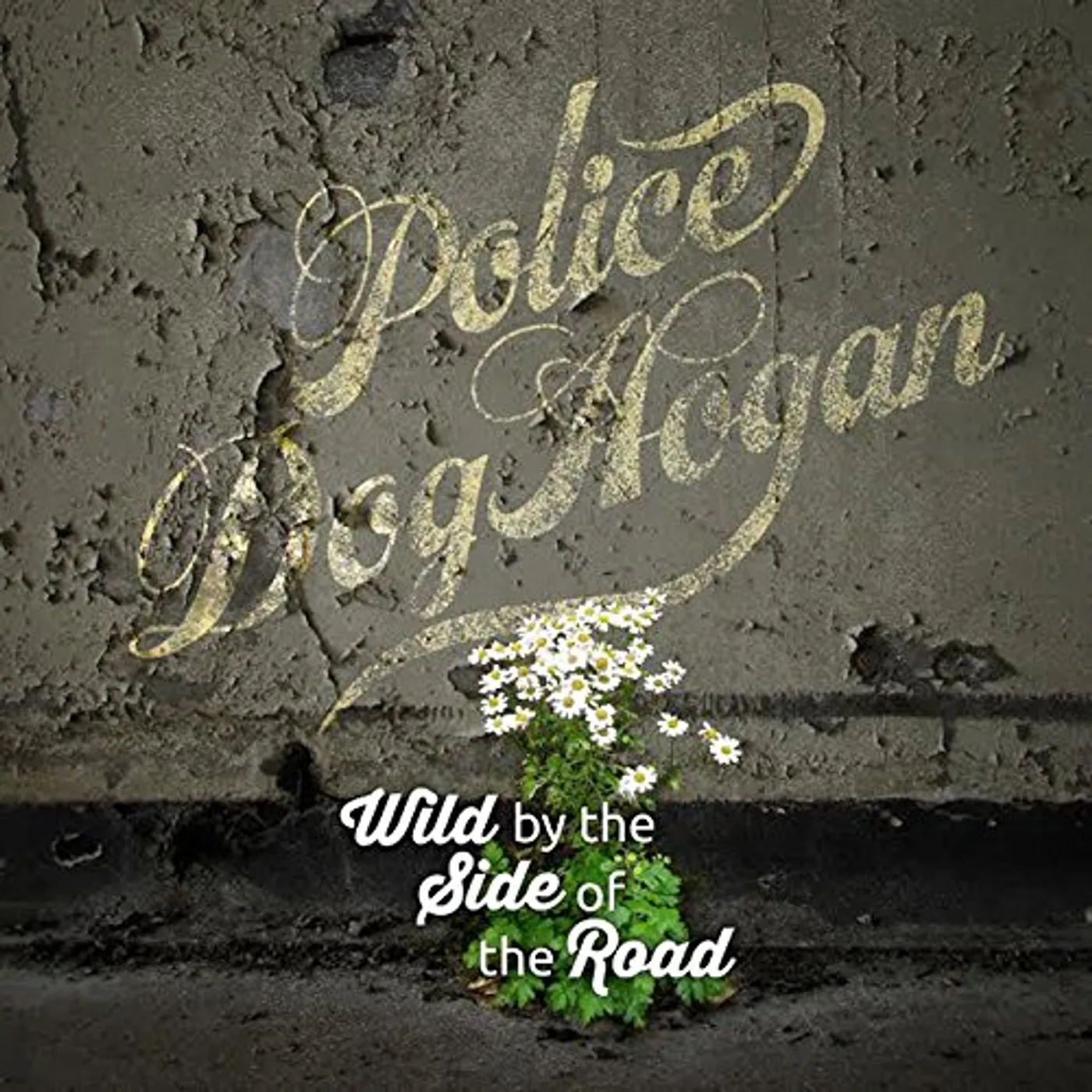 Police Dog Hogan Wild By The Side Of The Road Vinyl Record
