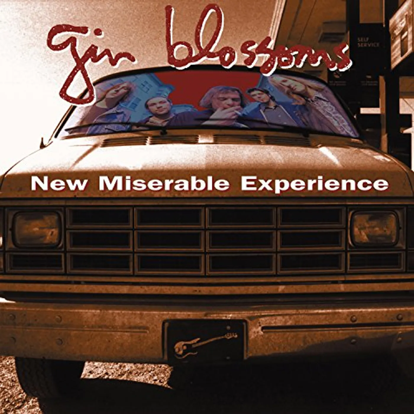 Gin Blossoms New Miserable Experience Vinyl Record