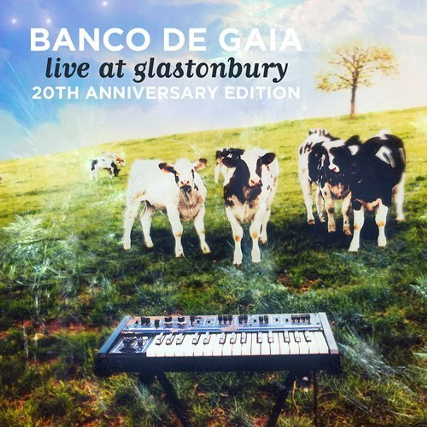 Banco De Gaia LIVE AT GLASTONBURY: 20TH ANNIVERSARY EDITION CD