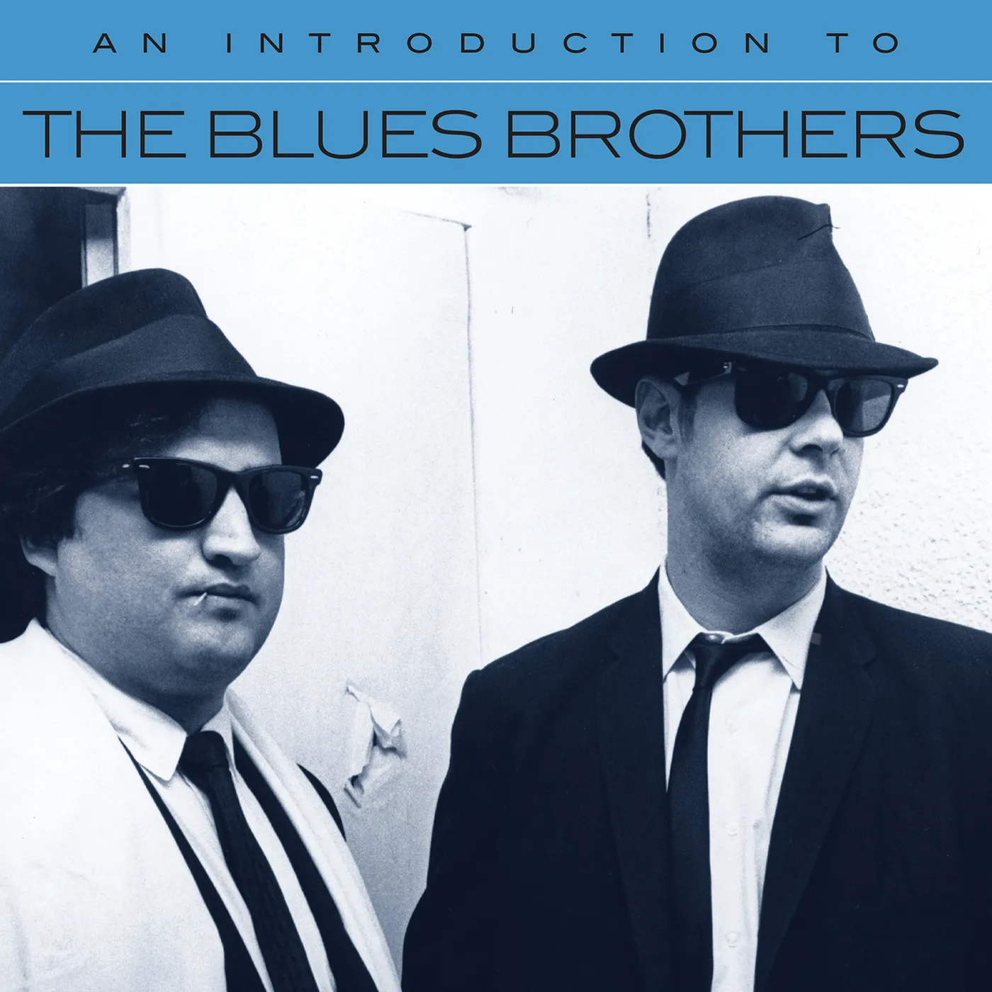 Blues & Brothers AN INTRODUCTION TO CD