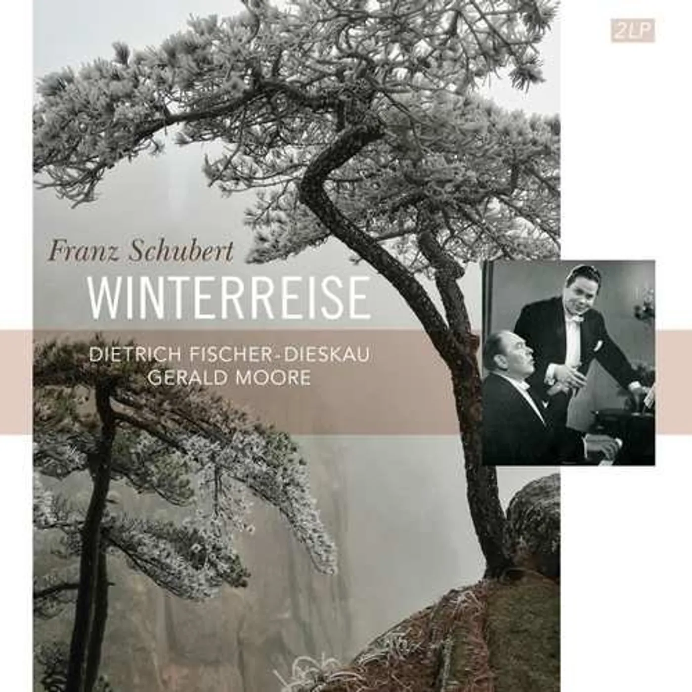 Franz Schubert WINTERREISE (2LP/180G) Vinyl Record