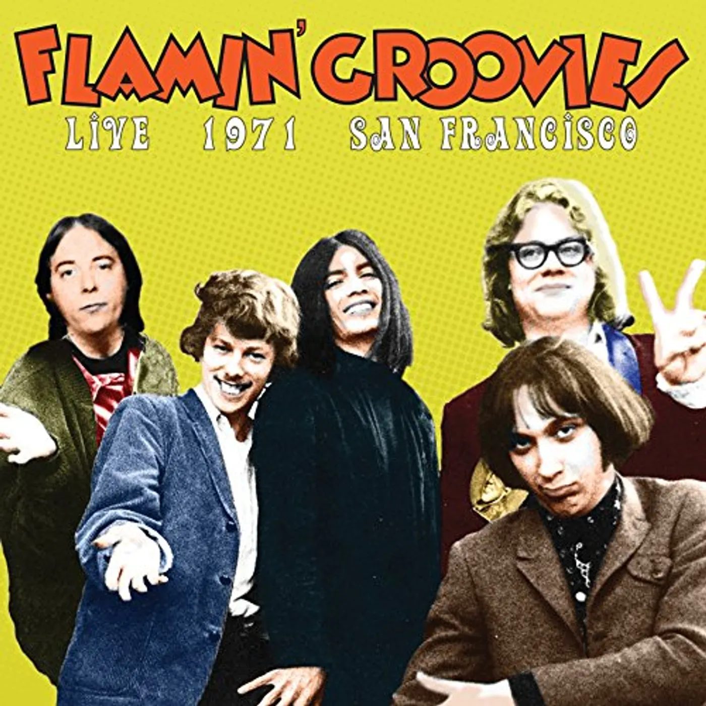 Flamin' Groovies LIVE IN SAN FRANCISCO 1973 Vinyl Record